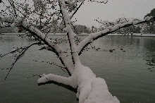 0040.JPG