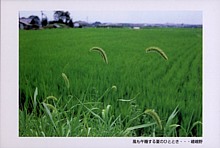 tn04.jpg
