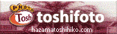 toshifoto